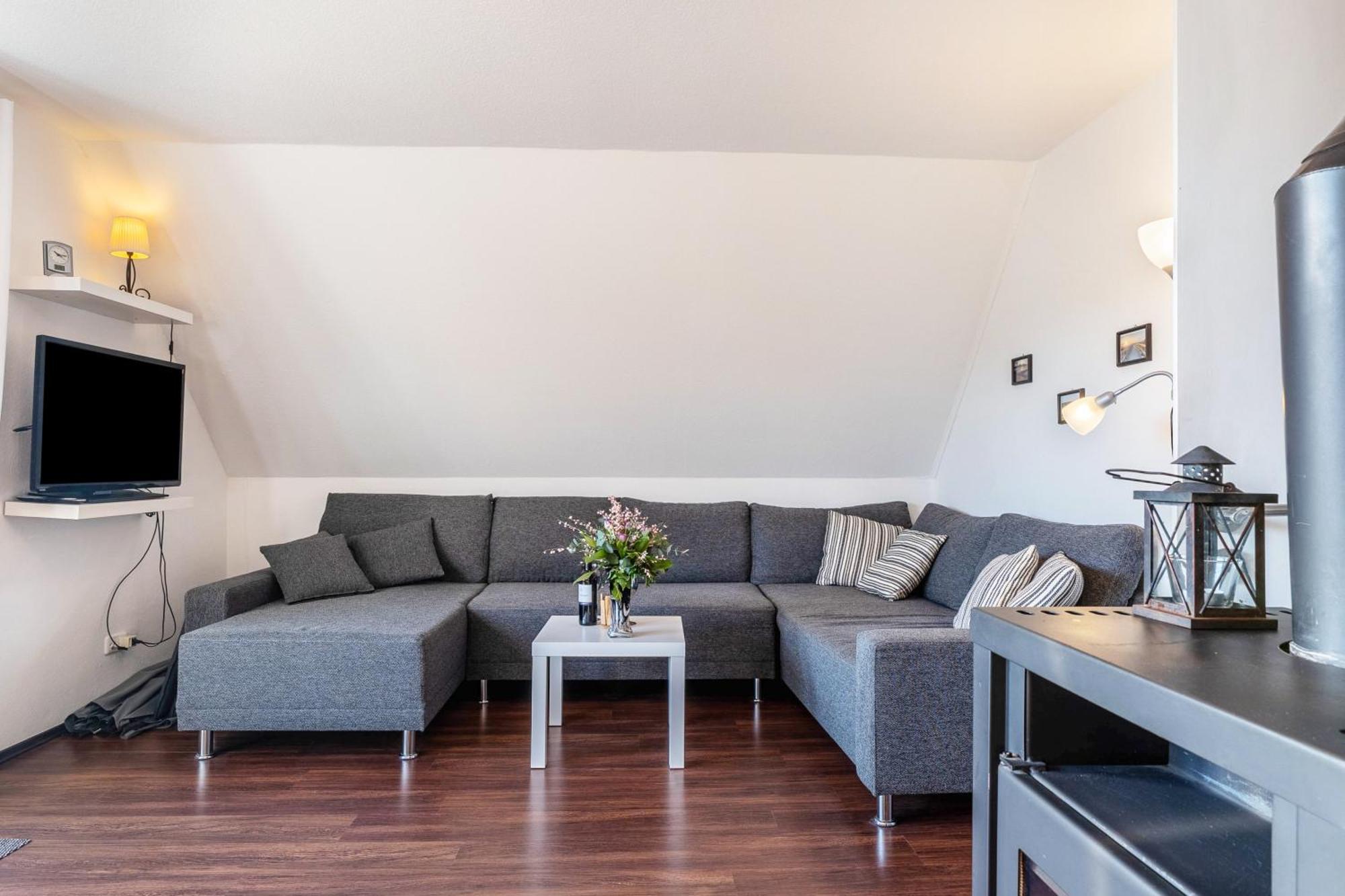 Schonwalde am Bungsberg Ferienwohnung Moin מראה חיצוני תמונה